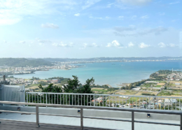 20260315_poi-okinawa_18